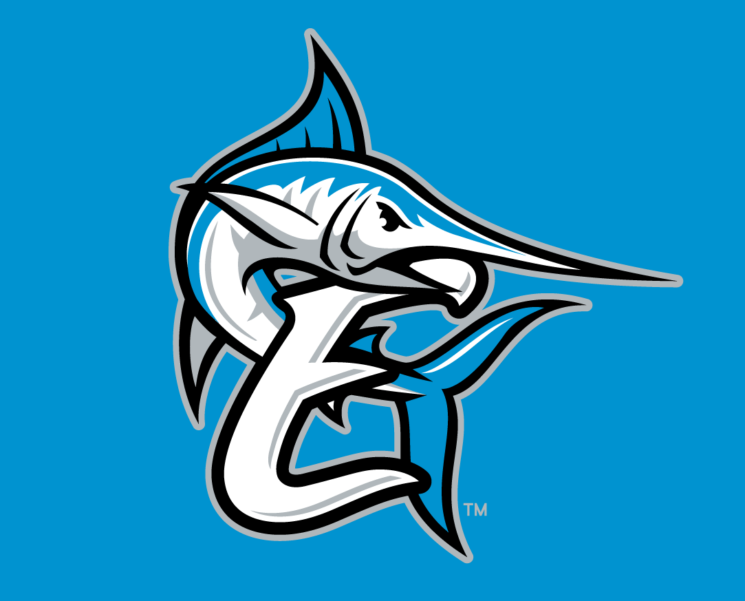 Coastal Plain League All-Star Game 2014 Cap Logo v2 iron on transfers for T-shirts